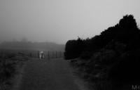 /album/miljo/dsc-0089-copy-jpg/